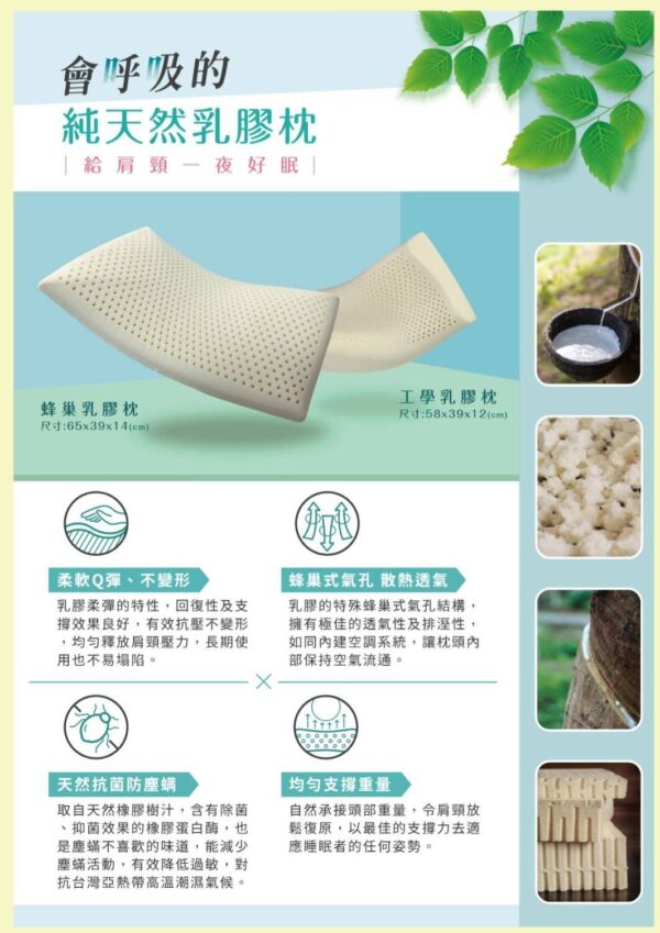 蜂巢乳膠枕