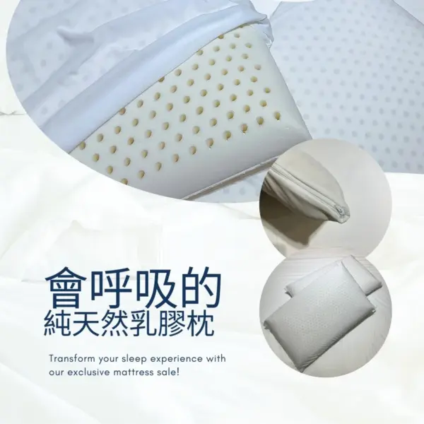 💤【蜂巢乳膠枕】 會呼吸的枕頭，讓睡眠更自然